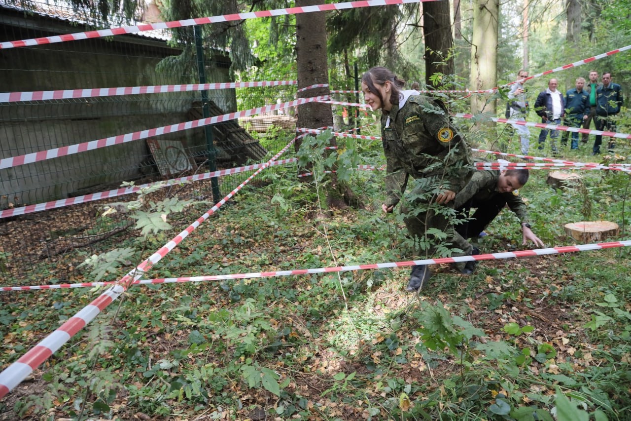 В честь Дня работников леса в Сергиево-Посадском округе высадили молодой орешник