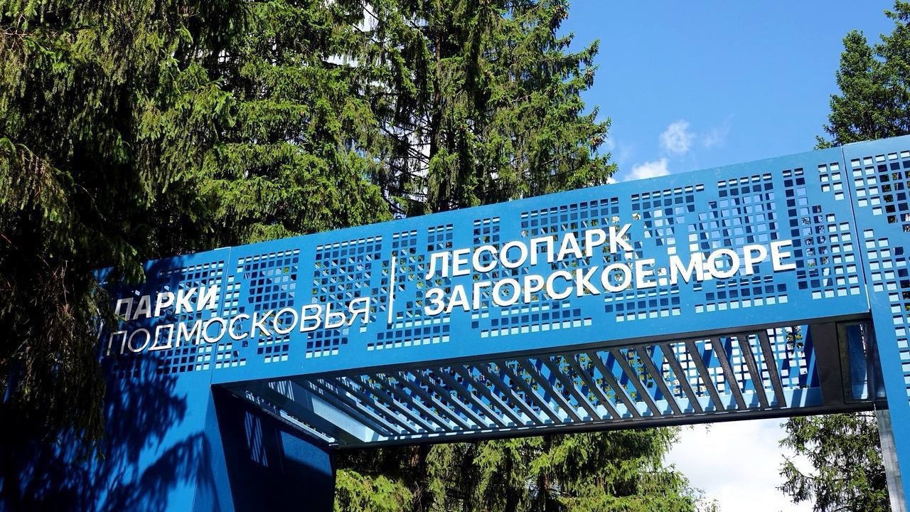 Лесопарк «Загорское море» вошёл в число финалистов II Всероссийской парковой премии «Парки России»