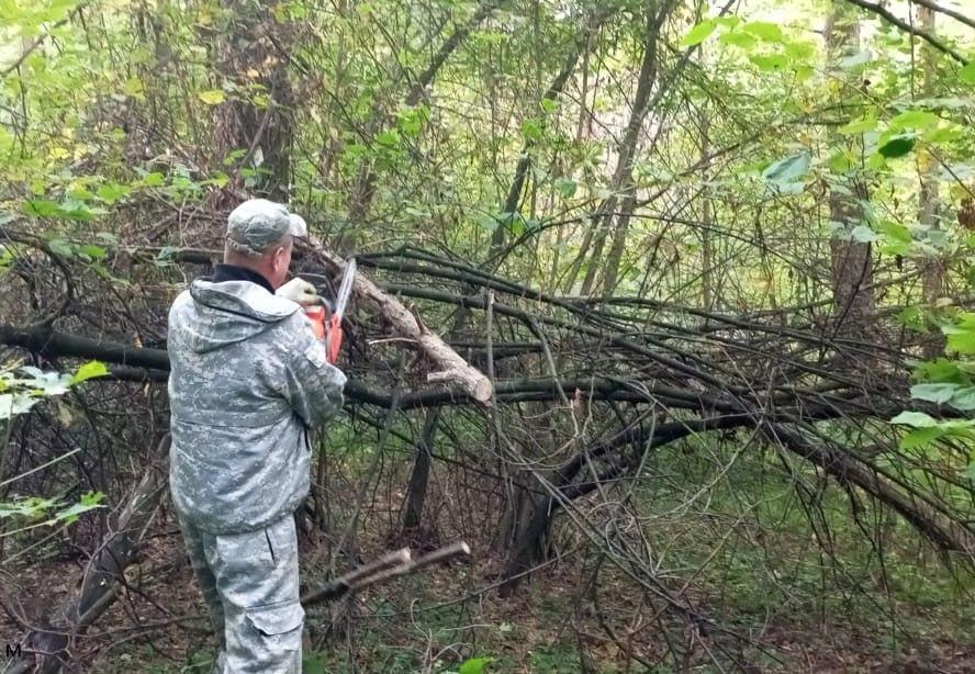 В Сергиево-Посадском лесничестве продолжаются работы по уборке неликвидной древесины